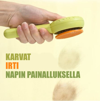 Karusellikuva