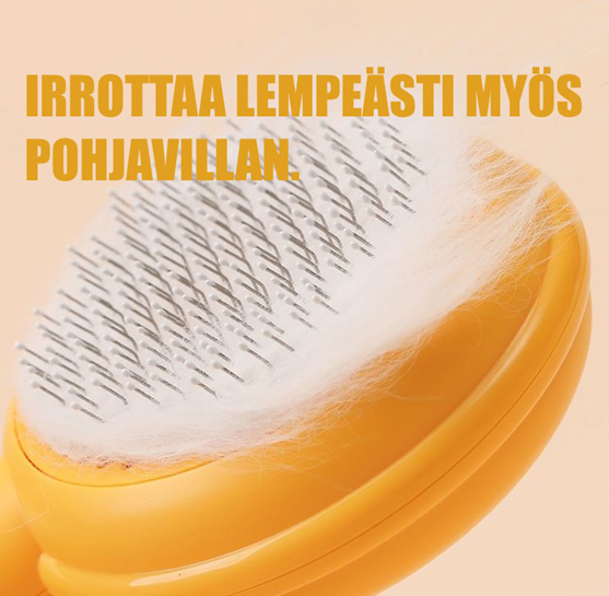Karusellikuva